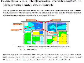 Diagnose Heizlschden